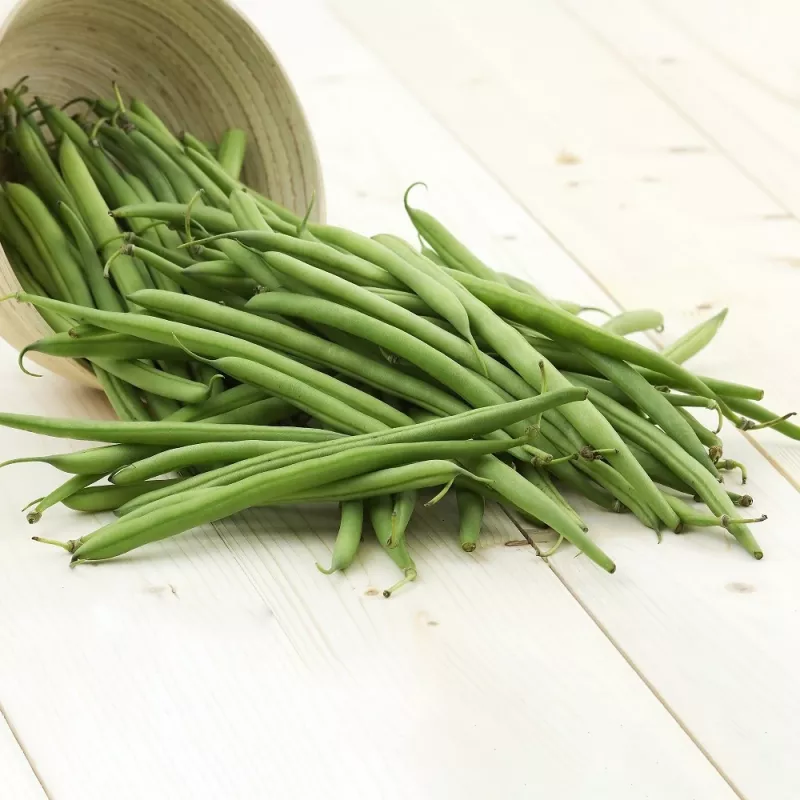 Nomad Green žemaūgių pupelių sėklos, 50g – daržovių sėklos