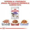 ROYAL CANIN FHN Sterilised padaže – drėgnas suaugusių kačių maistas – 12x85g