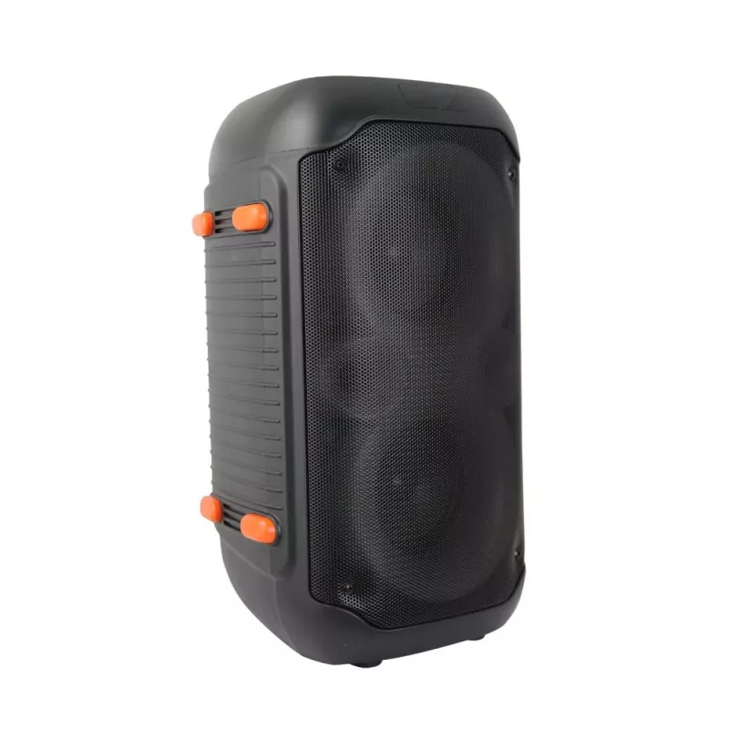 Esperanza EP156 BT FM LED RGB KARAOKE garsiakalbis juodas 20W