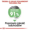 ROYAL CANIN CCN Medium Digestive Care - sausas šunų ėdalas - 3 kg