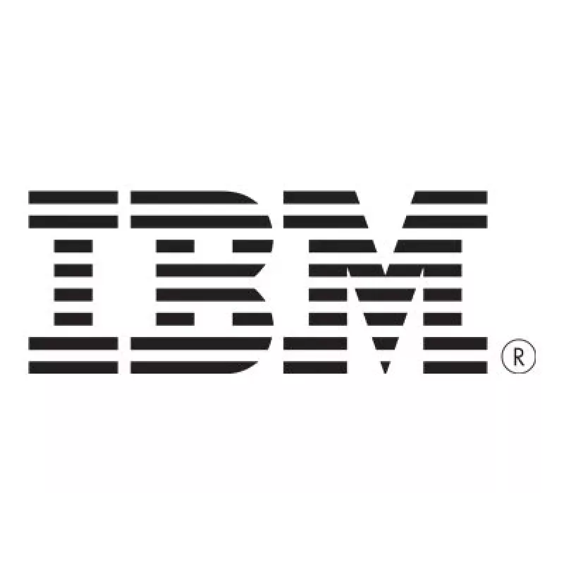 IBM DS3000 talpyklos baterija