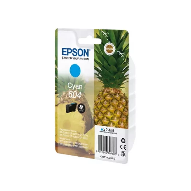 Epson 604 rašalo kasetė 1 vnt. Originali standartinės išeigos Žydra