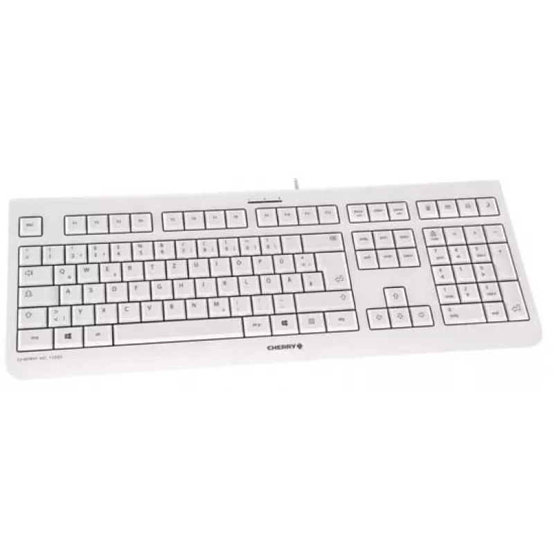 CHERRY KC 1000 klaviatūra Namų USB Swiss Pilka