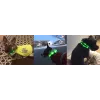 LED antkaklis Anicoll Green šunims ir katėms Model 9997790759014, įkraunamas apšvietimas