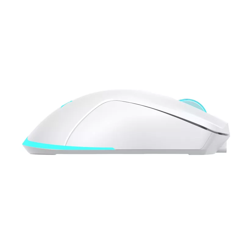 Pelė Baracuda BGM-122 Turtle balta TURTLE-W