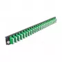 Sujungimo dėžutės priekinis skydelis DeLOCK 19 colių 43370 24 prievadų LC Quad žalias