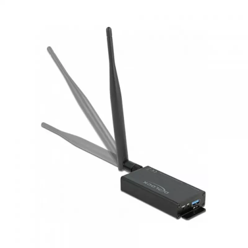 Sąsajos kortelė DeLOCK 63172 M.2 USB 3.2 Gen 1