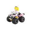 Keturratis Carrera Mario Kart Peach