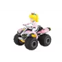 Keturratis Carrera Mario Kart Peach