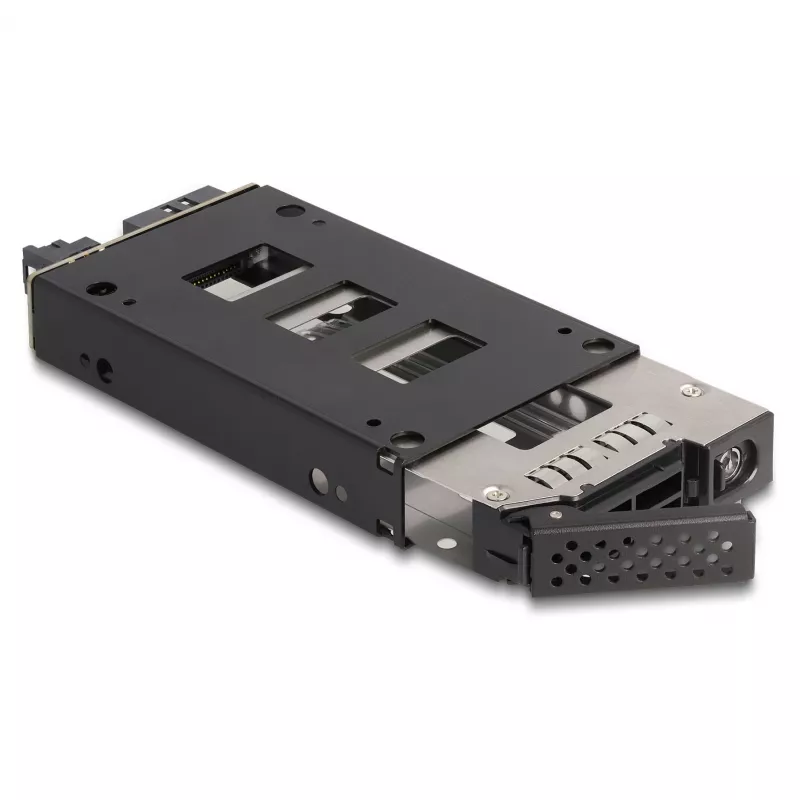 Kietojo disko laikiklis DeLOCK plonas Bay Mobile Rack 2,5 col. U.2 NVMe SSD juodas sidabrinis