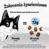 Kačių skanėstai Felix Party Mix Ocean Mix paketėlis 60 g — užkandis suaugusioms katėms