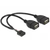 Vidinis USB laidas DeLOCK 83292 0,2 m, lizdas–lizdas