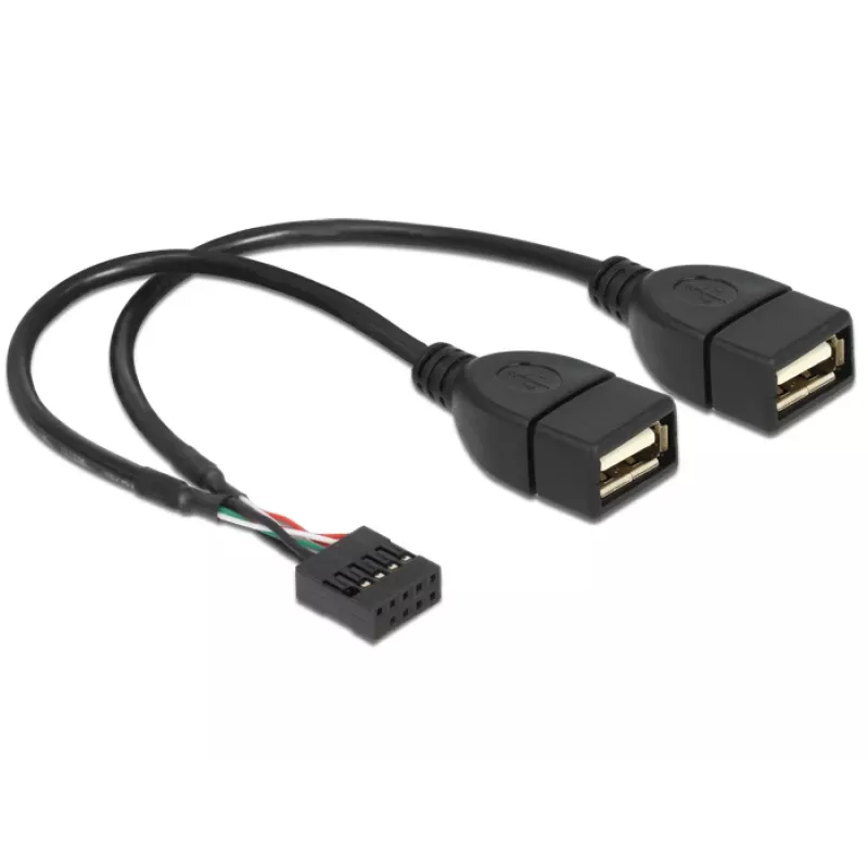 Vidinis USB laidas DeLOCK 83292 0,2 m, lizdas–lizdas