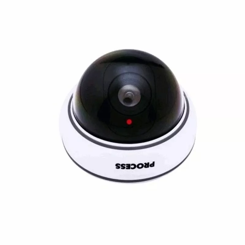 Netikra kamera DC2300