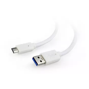 USB laidas Cablexpert CCP-USB3-AMCM-W-10
