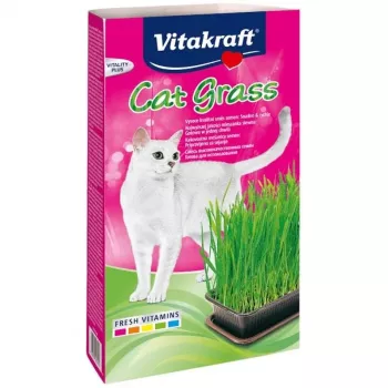 Kačių žolės rinkinys Vitakraft 120 g — valgomos žolės rinkinys katėms, be glitimo, be konservantų
