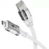 Goobay 74176 - Tinklo adapterio kabelis USB 3.1 Type C Gigabit Ethernet 2 m - Tinklo plokštė - 1 000 Mbps (74176)