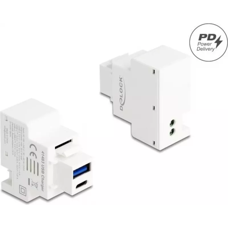 DELOCK Keystone modulis su USB Type-A ir USB Type-C įkrovimo lizdu PD 20 W baltas