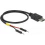USB laidas DeLOCK 85420 0.3 m USB C juodas