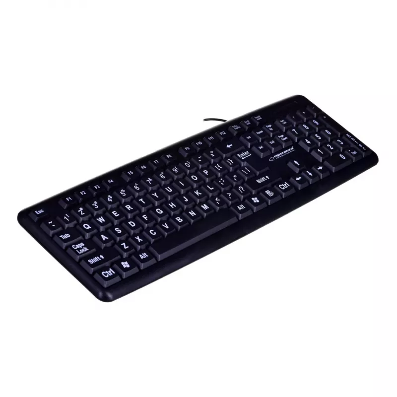 Esperanza EK129 klaviatūra USB QWERTY JK anglų Juoda
