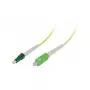 Synergy21 S215743 jungiamumo priedas