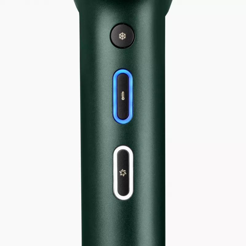 BaByliss Air Power Pro plaukų džiovintuvas 1700 W Auksinis, Žalias