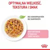 Šlapias kačių maistas Royal Canin Kitten Gravy 85 g — paukštiena, 78 % drėgmės, 12 % baltymų