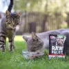 Šlapias kačių maistas VETEXPERT RAW PALEO suaugusioms sterilizuotoms katėms Jautiena 100 g maišelis, monoproteininis, 78 % drėgmės