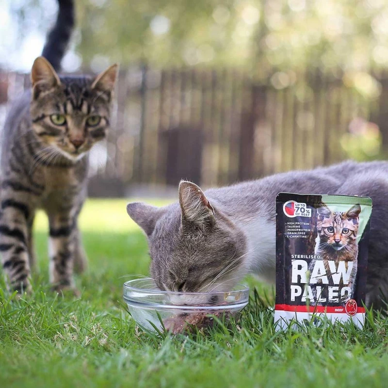 Šlapias kačių maistas VETEXPERT RAW PALEO suaugusioms sterilizuotoms katėms Jautiena 100 g maišelis, monoproteininis, 78 % drėgmės