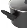 Puodas Russell Hobbs RH01712EU 20 cm Pearlised – nerūdijančio plieno virimo puodas