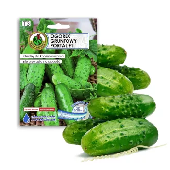 Agurkų sėklos Apte Cucumber Portal F1 — juosta 6 m, vidutinio ankstyvumo veislė, skirta rauginimui