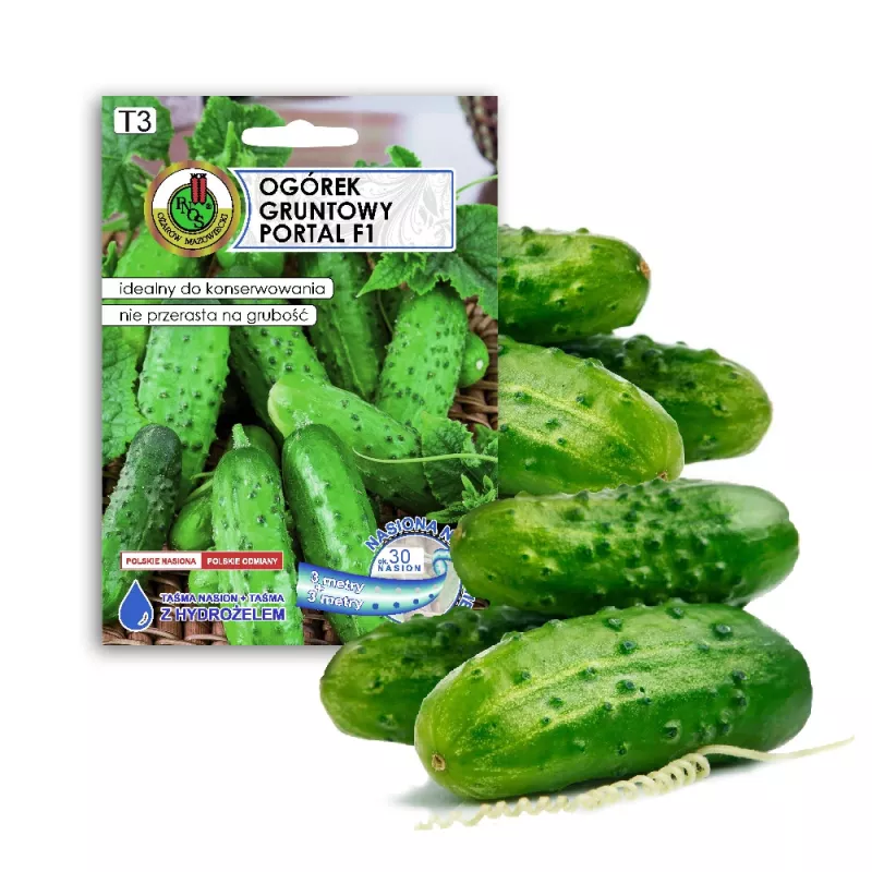 Agurkų sėklos Apte Cucumber Portal F1 — juosta 6 m, vidutinio ankstyvumo veislė, skirta rauginimui