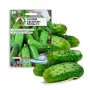 Agurkų sėklos Apte Cucumber Portal F1 — juosta 6 m, vidutinio ankstyvumo veislė, skirta rauginimui