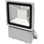 LED prožektorius EUROLITE FL-100 6400K, 100 W ekvivalentas, dienos šviesa 6400 K