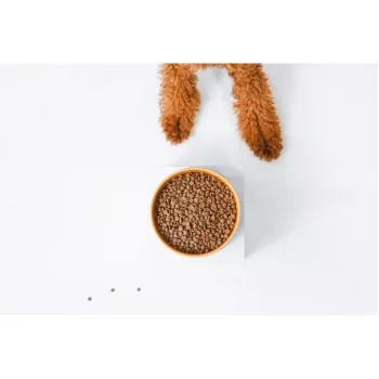 Sausas šunų maistas nature’s protection Superior Care Red Coat Adult Small breed be grūdų su lašiša 10 kg