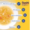 INABA CAT Dashi Delights Silky Broth vištiena su lašiša – katės skanėstas – 40g