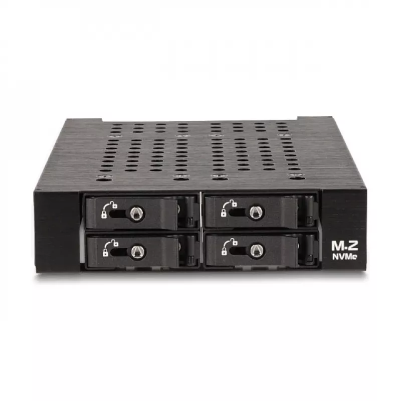 HDD Cage DeLOCK 47072 Rack Suderinama Metal 100mm Width
