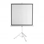 Projekcinis ekranas SBOX PSMT-135-2, matymo plotas 240×240 cm, fiksuotas / montuojamas ant sienos