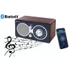 Radijas Eltra CZAJKA Bluetooth modelis 5907727028438 — nešiojamas radijas su Bluetooth ryšiu