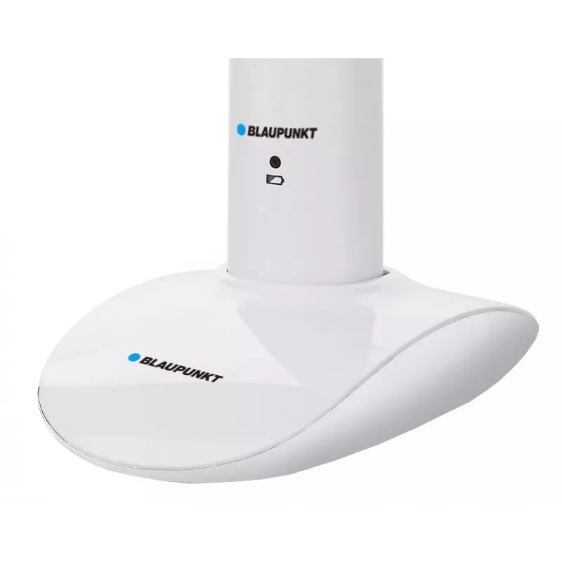 Soninis dantų šepetėlis Blaupunkt DTS601