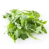 Sėklos juostoje — Apte Rukola (Eruca sativa) 6 m, skirtos auginimui namuose ir sode