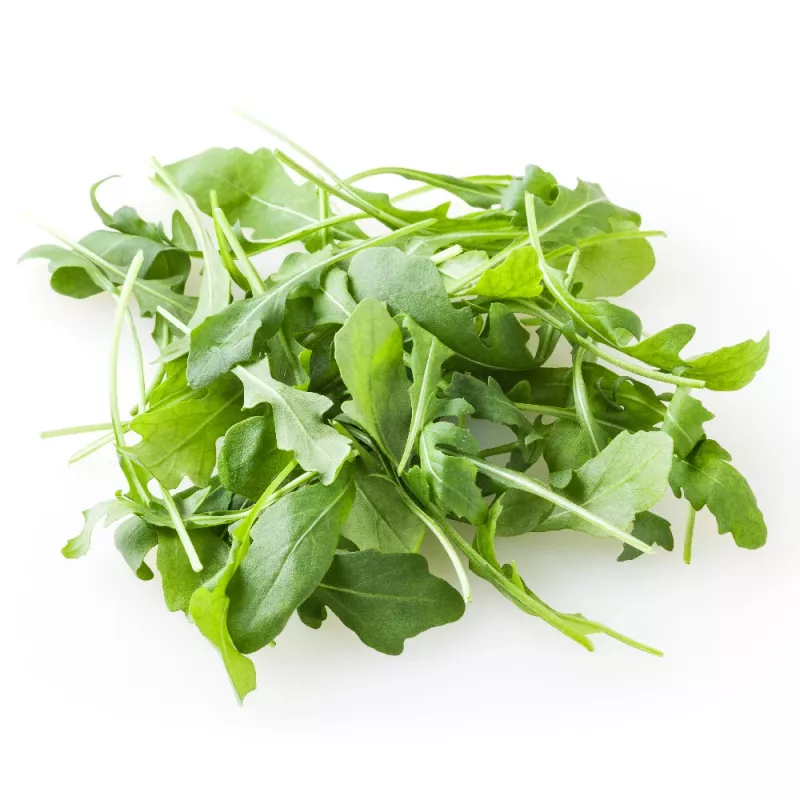 Sėklos juostoje — Apte Rukola (Eruca sativa) 6 m, skirtos auginimui namuose ir sode