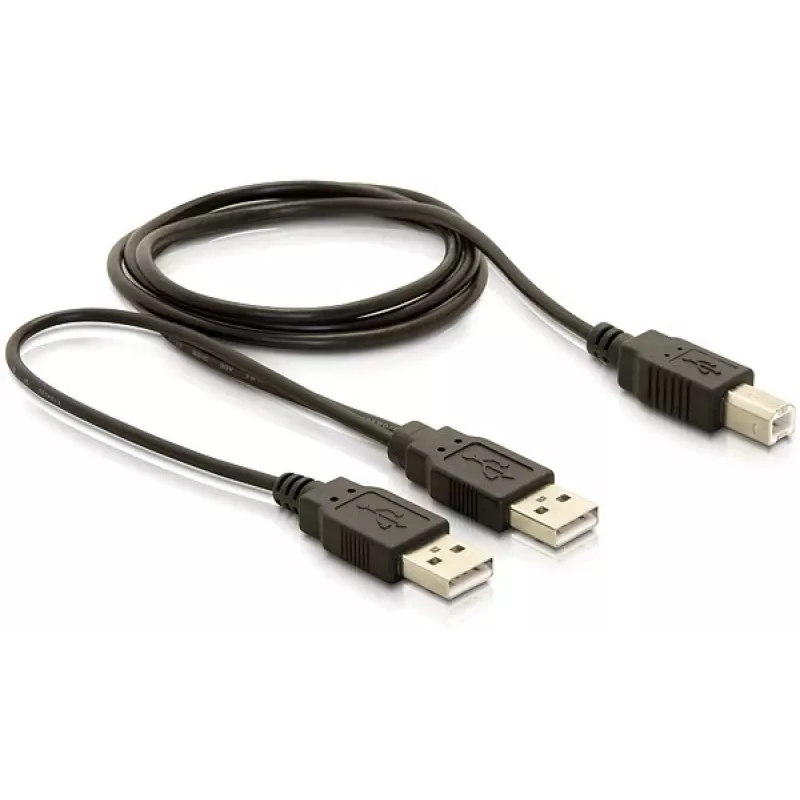 USB laidas DeLOCK USB-B/USB-A laidas 1 m juodas