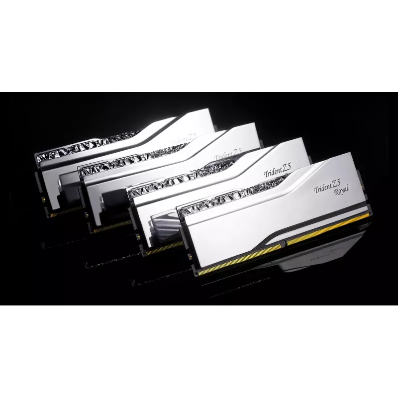 Atminties modulis G.Skill DDR5 48GB 8000MHz