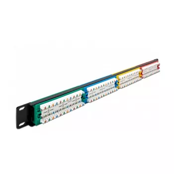 DeLOCK 19 colių pataisų skydelis 24 prievadų Cat.5e 1U spalvotas RJ-45