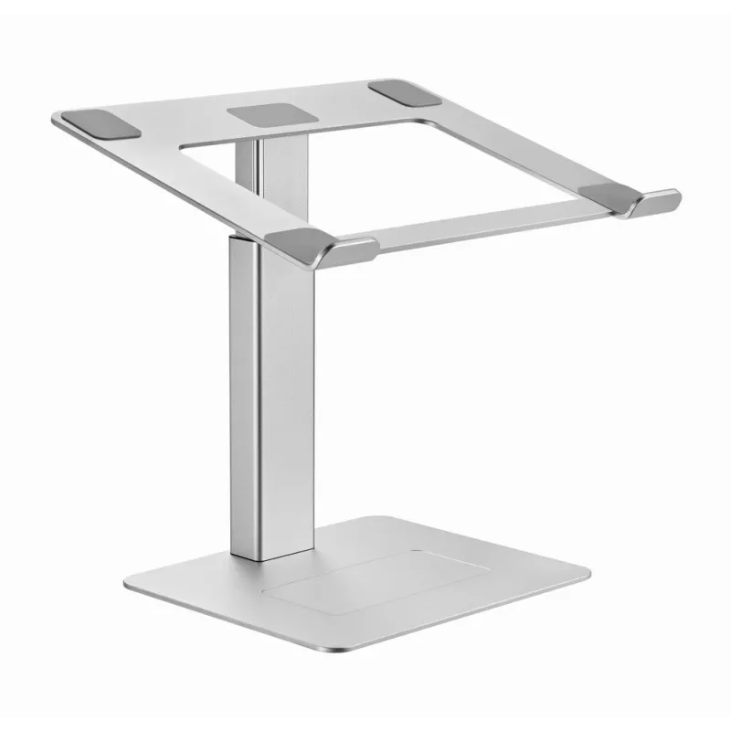 Gembird NBS-D1-02 stovas nešiojamam kompiuteriui Sidabrinis 39,6 cm (15,6 inch)