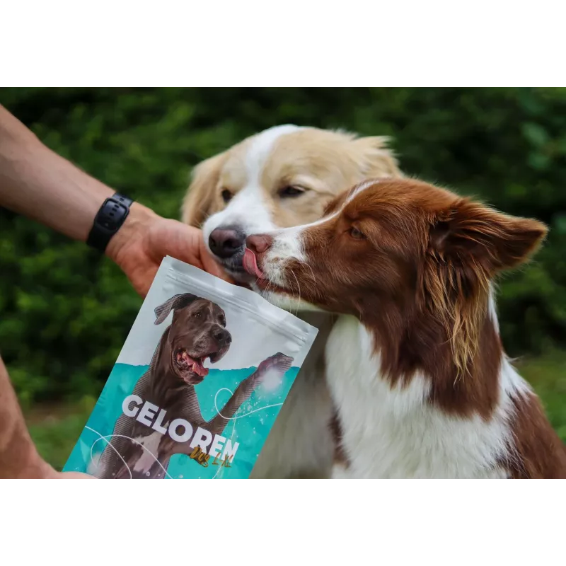 GELOREN Large dog Joints - dog vitamins - 420g