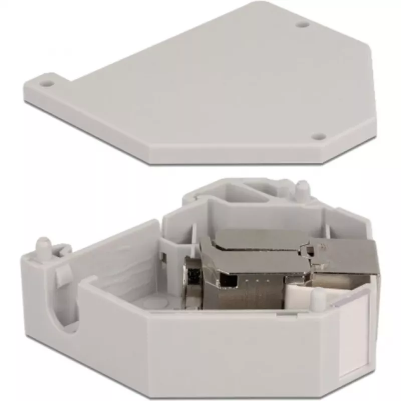 Delock - Modulinis adapteris - montuojamas ant DIN bėgelio - CAT 6a - STP - Pilkas - 1 jungtis (86014)