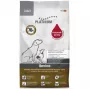 Sausas šunų maistas Platinum Adult Iberico + Greens 5 kg — Kiaulienos formulė, 23 % baltymų, 14 % riebalų, suaugusiems šunims