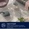 Drum vacuum Electrolux EB61C1OG 850W 3,5 L dulkių maišelis, teleskopinis plieno vamzdis, EPA12, 12 m veikimo spindulys